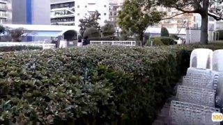 国产亚洲成AⅤ人片在线观看麻豆,蜜芽亚洲Av无码精品国产午夜,毛片免费视频在线观看,中文字幕色偷偷人妻久久,麻豆一区二区99久久久久,人人妻人人澡人人爽